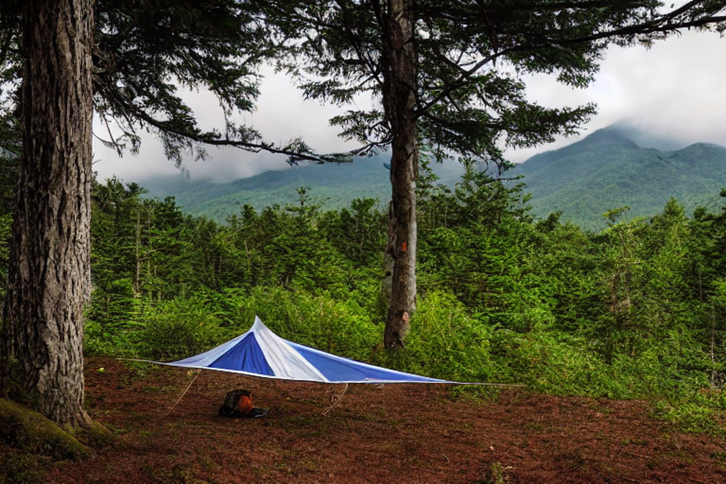 A white tent rests on a paved campsite beside a sunny dirt patch. A hammock hangs between leafy trees, with thick bushes and misty mountains in the background. Cloudy skies give the peaceful Smoky Mountain scene a cool, relaxed feel.