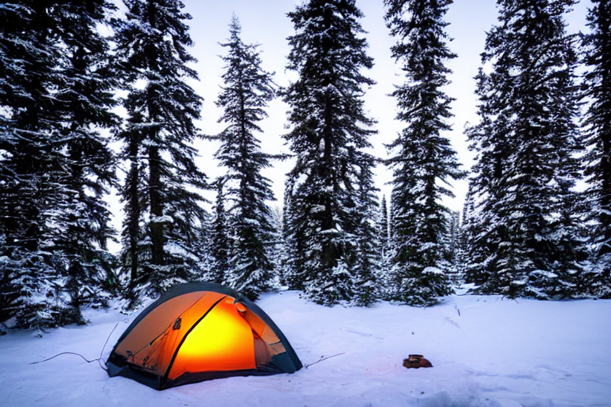 A black tent glows softly beneath a star-filled sky in snowy Banff National Park. A warm campfire crackles on the dirt, with chairs nearby and tall trees all around.