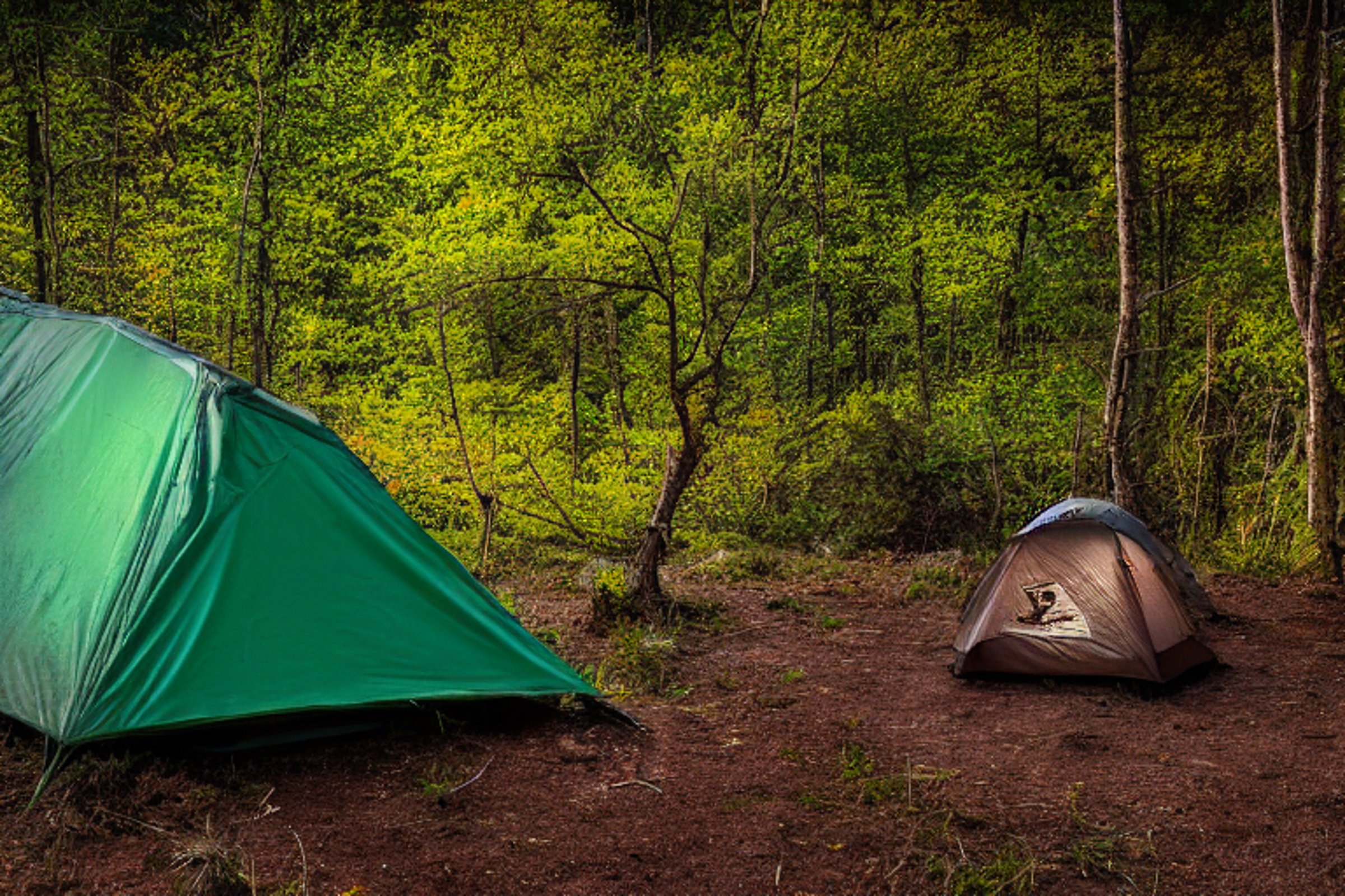 A cozy tent rests on a rocky dirt patch in snowy Plitvice Lakes National Park. Large bushes and a mossy rock surround the camp, while a small lantern waits by the tent.