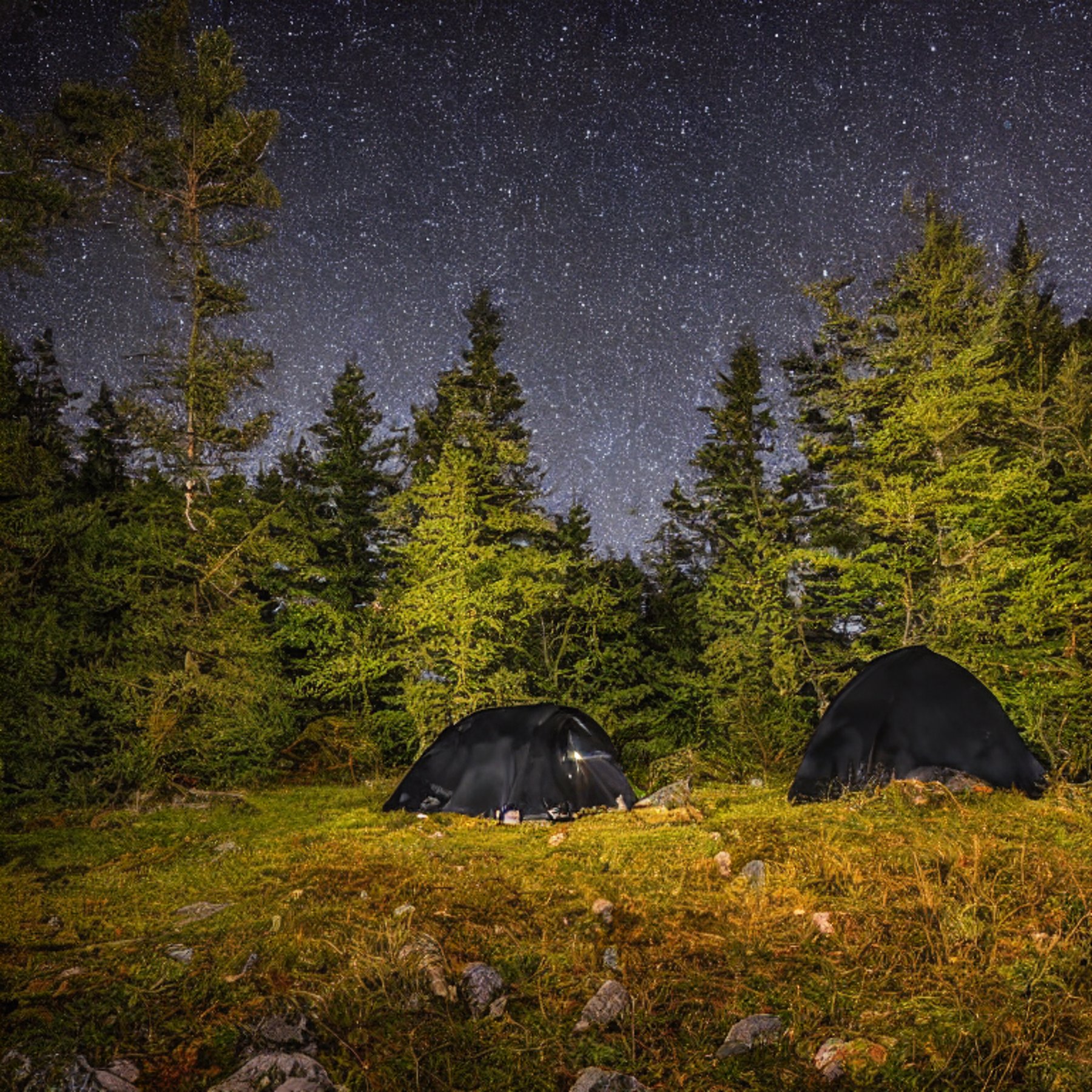 A black tent rests on a small dirt patch at a quiet campsite in an overgrown forest. Rainy night air surrounds the tent, while fall-colored trees, large rocks, and boulders fill the scene beneath a starry sky.