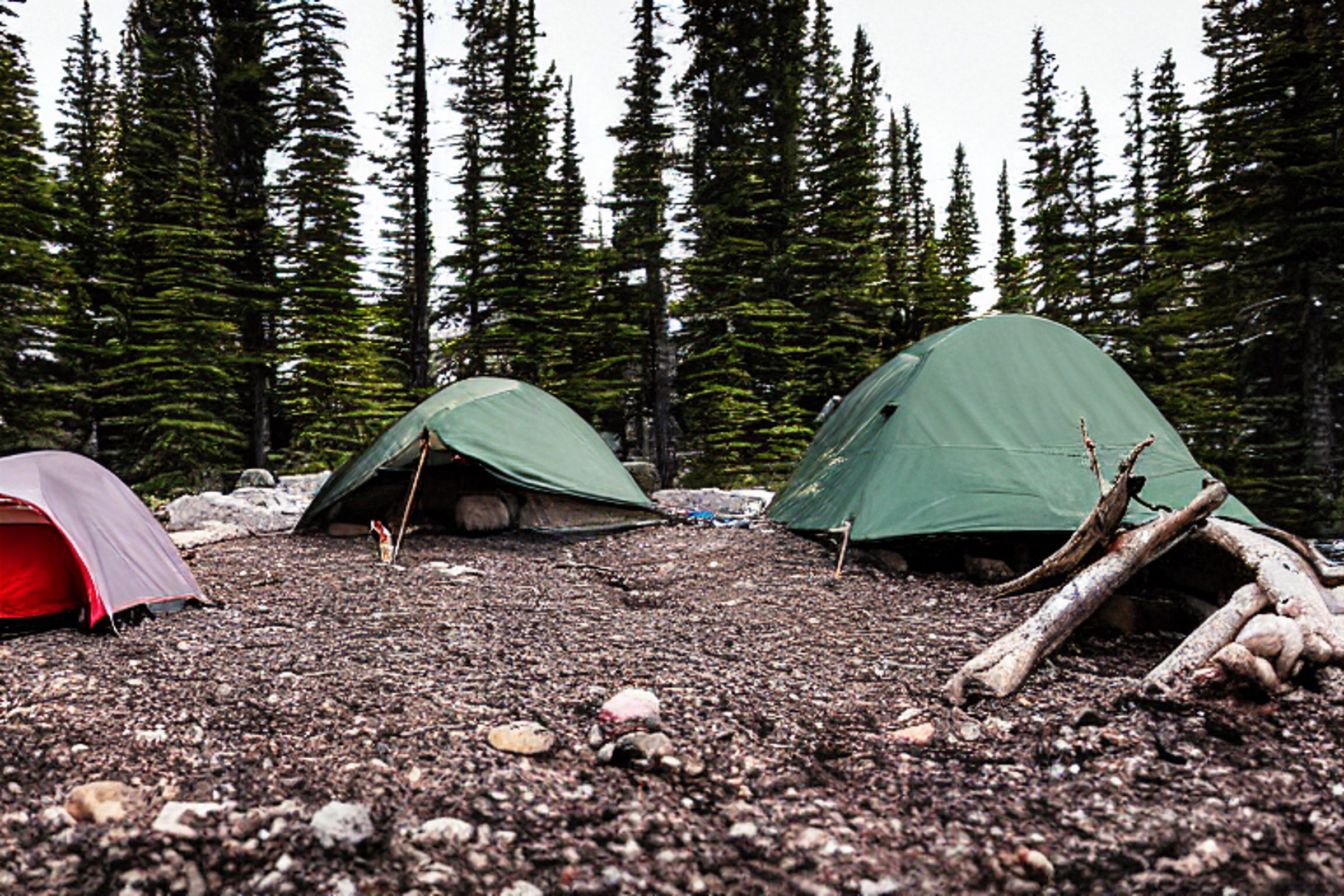 A cozy tent sits beside a campfire on a dirt clearing in foggy Banff National Park. Stones and a small twig lie on the ground, while surfers add a fun surprise to the mountain campsite.