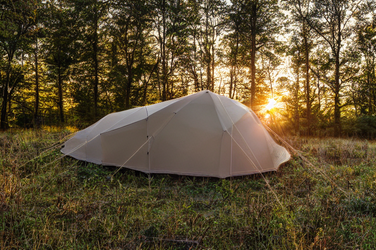 A cozy tent rests on a dirt clearing in an overgrown forest. Tall grass and young trees surround the camp, while large trees rise nearby. A deer stands quietly in the distance beneath the warm golden-hour sky.