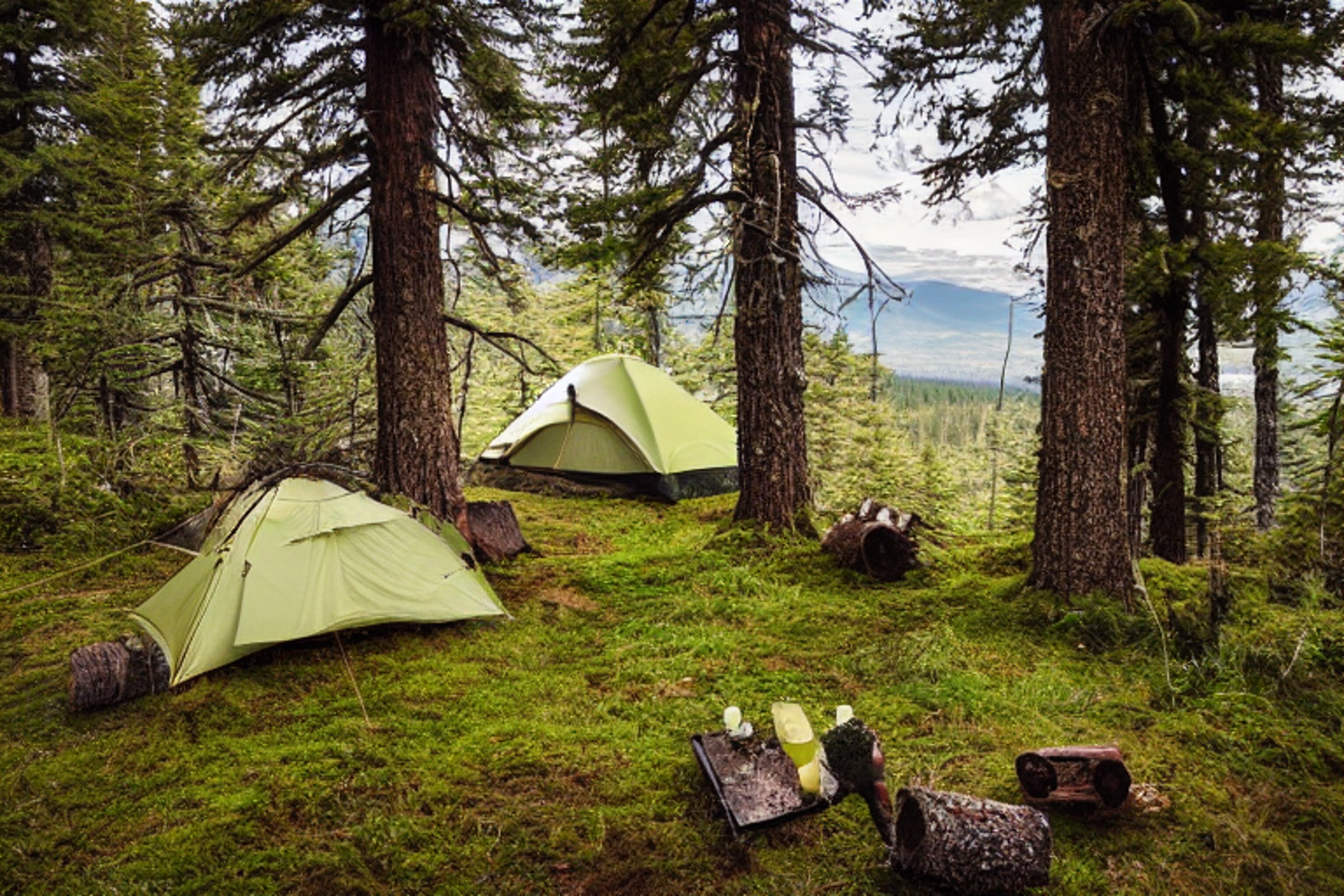 Two green camo tents sit among mossy trees in a quiet Montana campsite. A small campfire rests on logs in the center, with a backpack nearby and a hiking path leading into the woods. Clear sunrise light fills the peaceful scene.