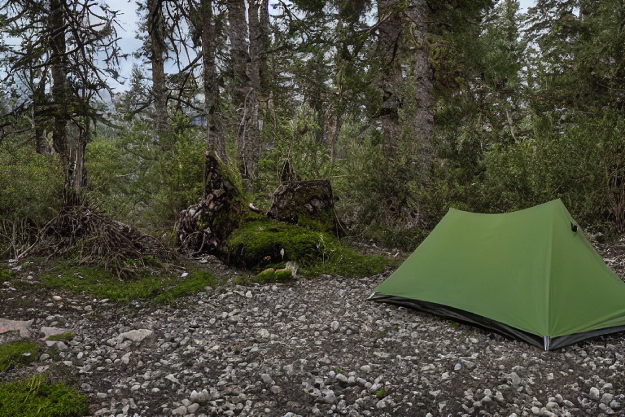 A green camo tent rests beside a glowing campfire on a snowy night in Santorini. Mossy trees, fallen leaves, and scattered stones surround the quiet dirt campsite, with a parking spot nearby.