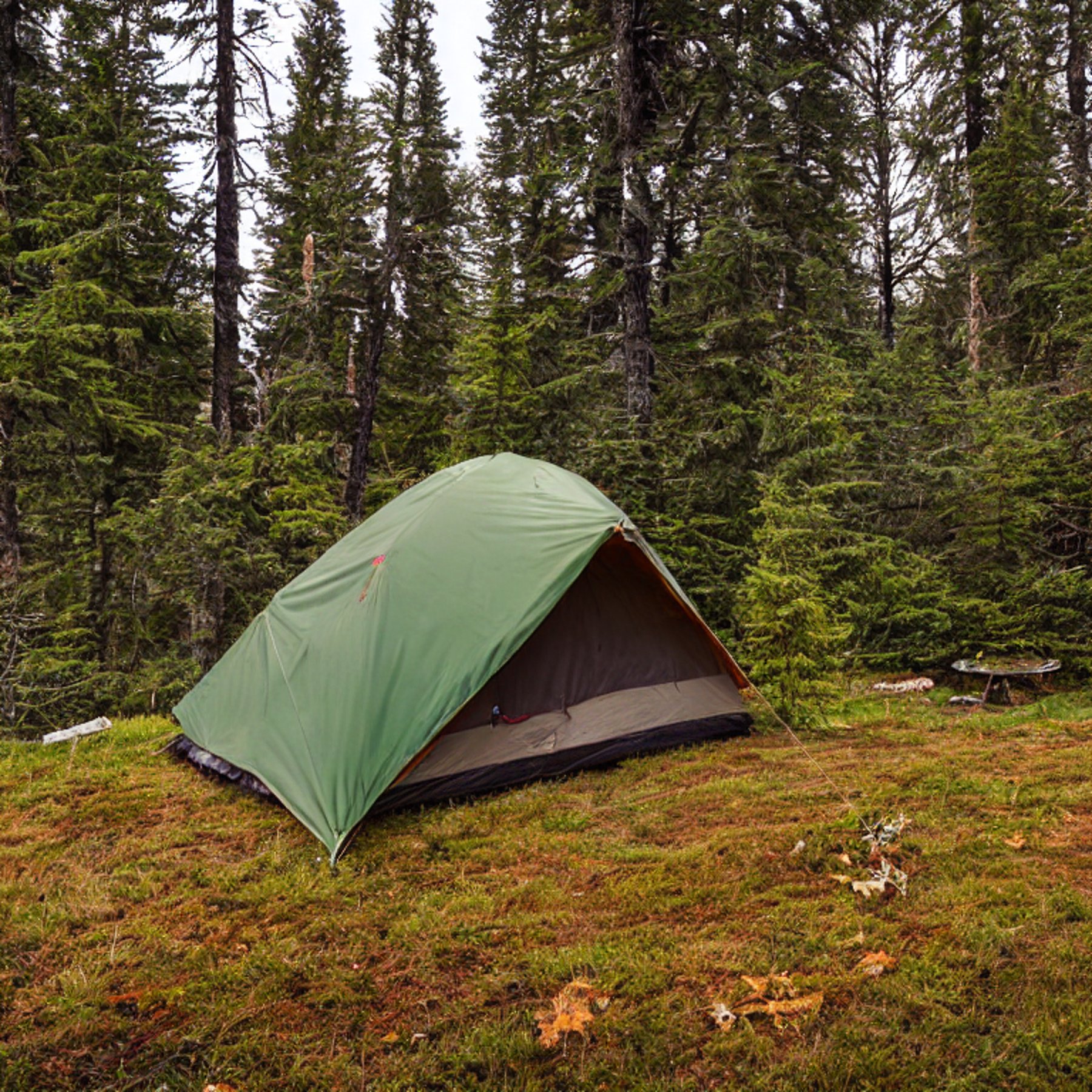 A green and tan tent rests on a rocky dirt patch in a quiet Washington forest. A warm campfire glows as the sun sets, while fog drifts through the trees. Fallen leaves and a large rock add to the cozy, wild setting.