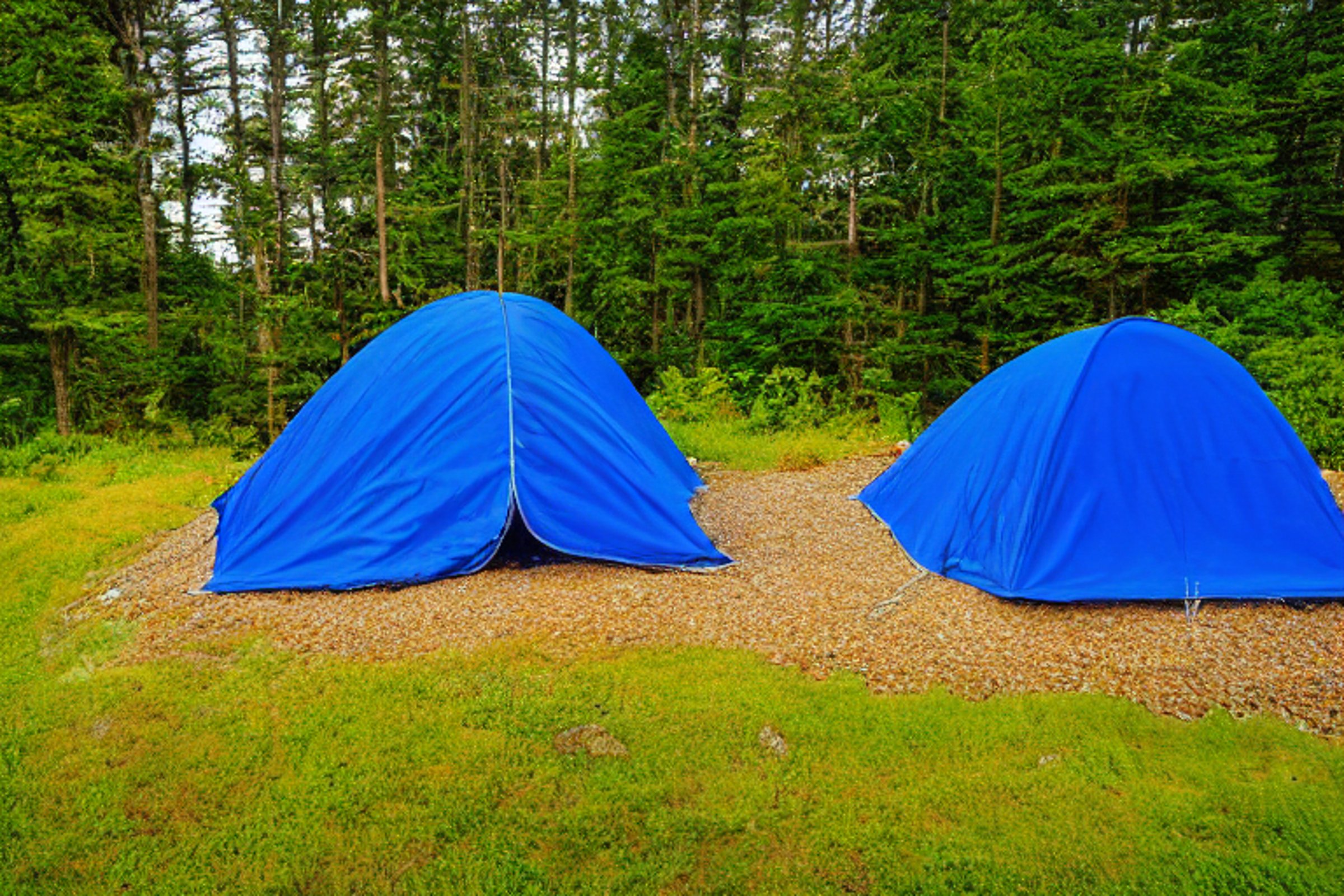 A bright blue tent rests on a quiet paved campsite along the Maine coast. Sunrise warms the rolling hills, while gravel patches and large boulders add a rugged touch. The clear sky makes the whole scene feel fresh and peaceful.