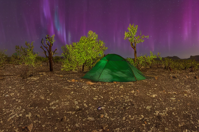 A forest-green tent rests on a quiet dirt clearing beneath glowing northern lights. Fog drifts through the small trees, while a berry-covered bush and a fallen twig add gentle woodland details.