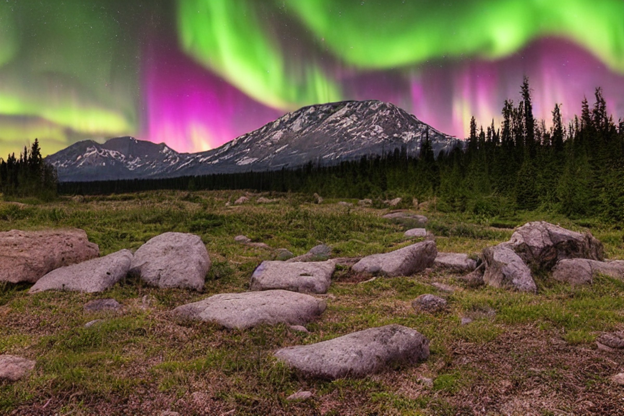 A cozy brown tent rests on a rocky dirt patch beneath a clear night sky. Bright green auroras dance above the rough grass and scattered stones. The quiet Washington wilderness feels wild and peaceful.